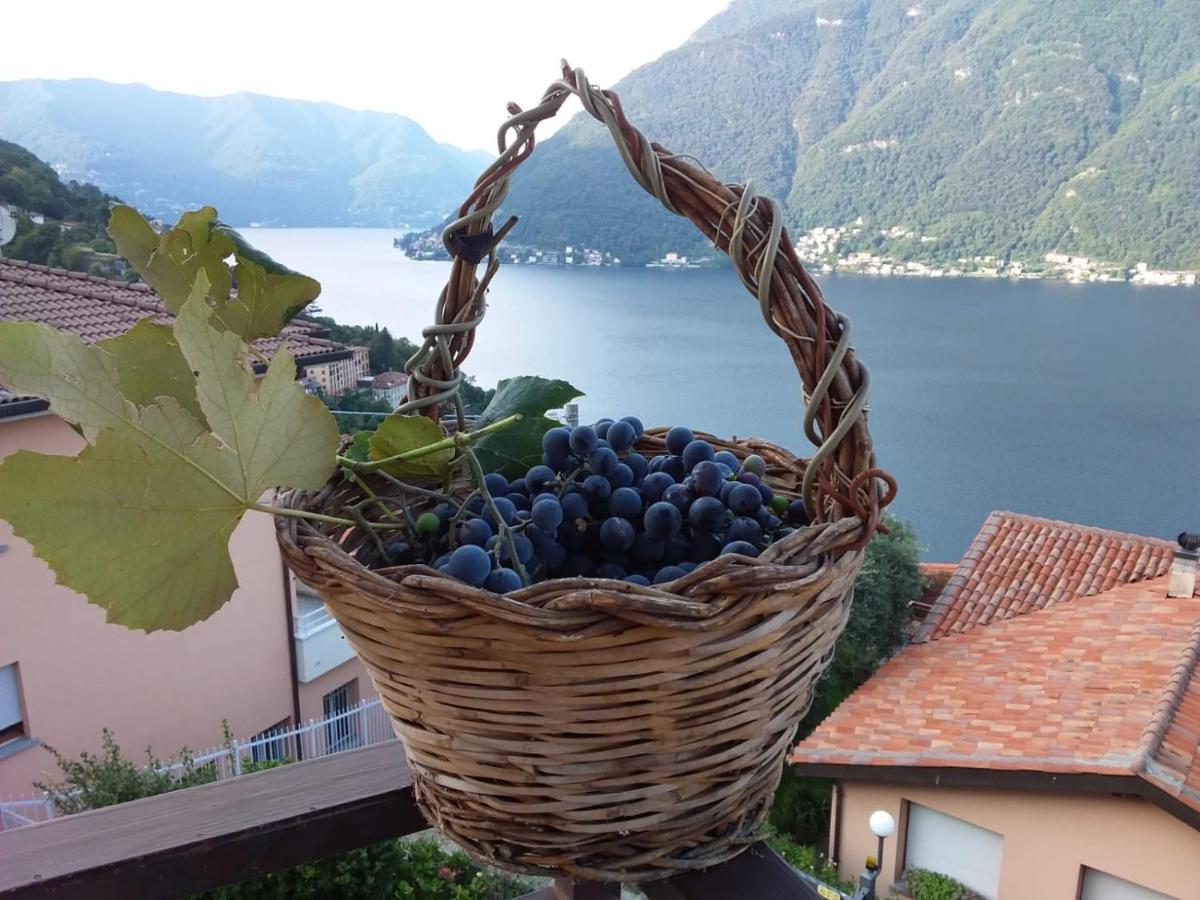 Romantic Home - Lake Como 네소 외부 사진