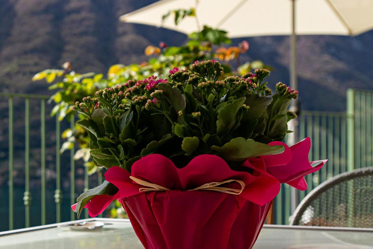 Romantic Home - Lake Como 네소 외부 사진